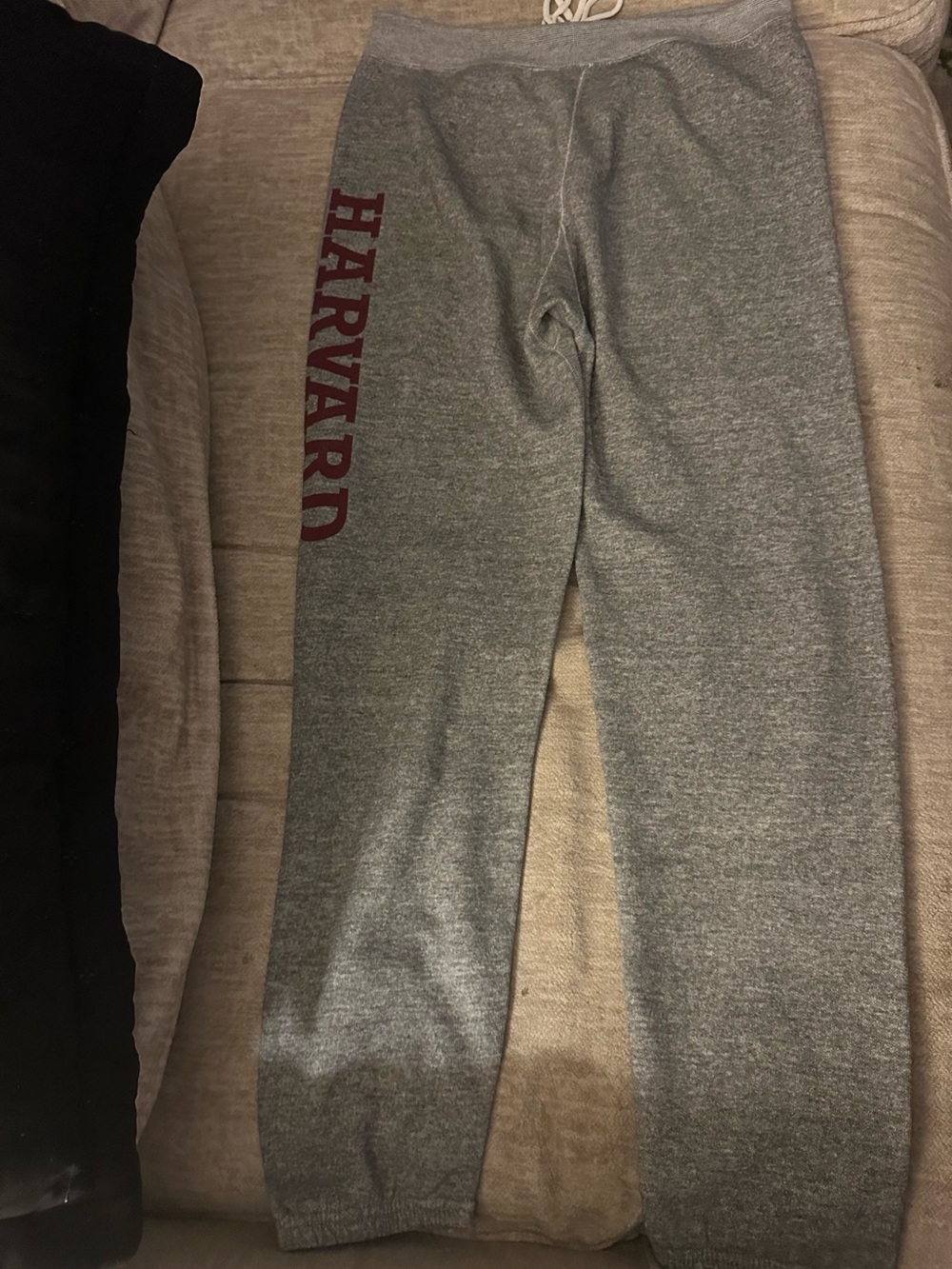 Harvard Grey Women's Cozy Joggers with Maroon Side Logo